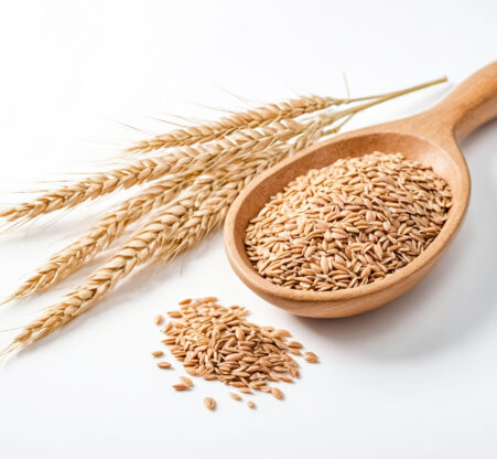 Wheat grain in wooden spoon and wheat stalks A wooden spoon filled with wheat grains, with wheat stalks beside it, against a white background. This image conveys a sense of harvest, abundance and nature.